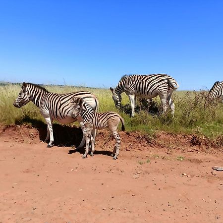 Sedgefield Lodge Witbank Kültér fotó