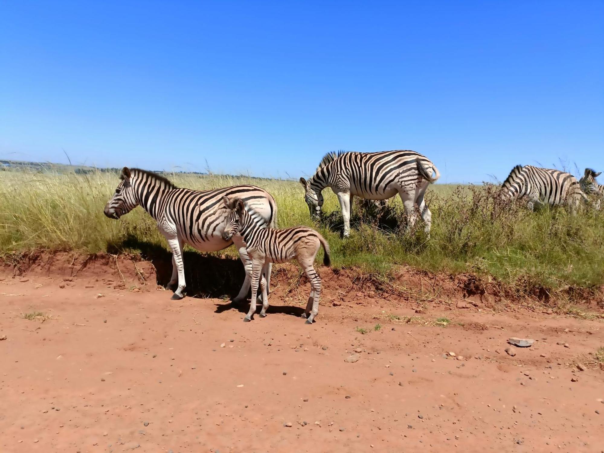 Sedgefield Lodge Witbank Kültér fotó